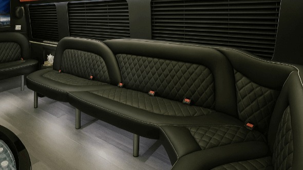 Interior of Amherst Party Bus Company's 14 Passenger Sprinter Limousine in Amherst