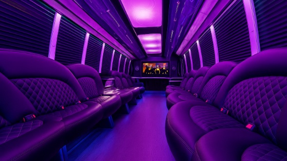 Interior of Lindenhurst Party Bus Company's 25 Passenger Party Bus in Lindenhurst