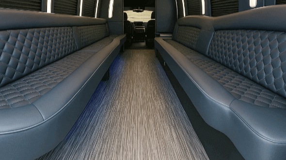 Interior of Lindenhurst Party Bus Company's 30 Passenger Party Bus in Lindenhurst