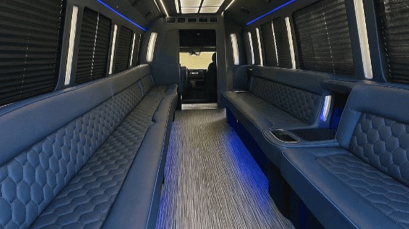 new york 25 passenger party bus rental